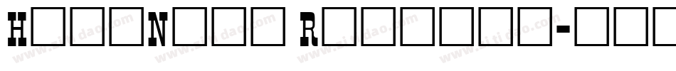 HighNoon Regular字体转换